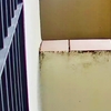 Emplastecer y pintar en casa exterior pareada en Burguillos, urge