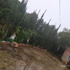 Otros Trabajos De Jardinería