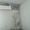 Arreglar Humedades