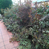 Otros Trabajos De Jardinería