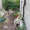 Limpieza Vivienda (1 vez)