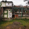 Construir Casa