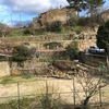Construir Muro