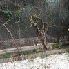 Muro contención jardín