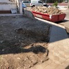 Hormigón/cemento Pulido