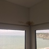 Humedad exterior en piso algorta