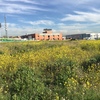 Movimiento de tierras en leganes