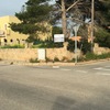 Talar 4 árboles