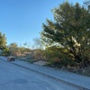 Desbrozar Jardín