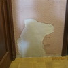 Pintar pasillo