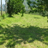 Segar finca 2000 m
