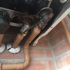 Pequeños Trabajos Fontanería