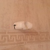 Arreglar grifo de la ducha