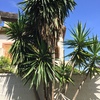 Otros Trabajos De Jardinería