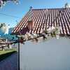 Rehabilitar Fachada Casa (Unifamiliar)