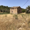Mantener Jardín