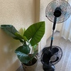 Mudanza Vivienda