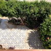 Limpieza Vivienda (1 vez)