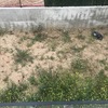 Construir Piscina Obra