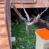 Otros Trabajos De Jardinería