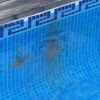 Reparación fuga piscina
