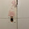 Lacar Puertas