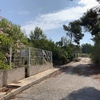Desbrozar Jardín