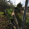 Construir muro de marés