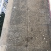 Pulir Suelo Vivienda (Parcial)