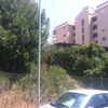 Desbrozar Jardín