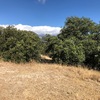 Desbrozar Jardín