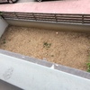 Barandillas Madera