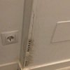 Reparación pared