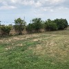 Mantener Jardín
