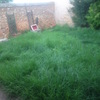 Cortar césped jardin