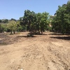 Instalar Cercados de malla o similar