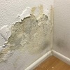 Reparación de humedad en despacho en centro de madrid sanear, pintar y reponer rodapié