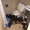 Limpieza de piso