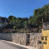 Desbrozar Jardín