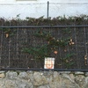 Puerta metálica para jardín con instalación