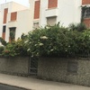 Jardinería