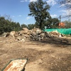 Movimiento de Tierras