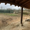 Rehabilitación de jardin