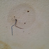 Revision y reparación electricas menores (causa filtracion de agua)