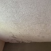 Impermeabilización Parcial Vivienda O Local