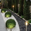 Plantar Cesped