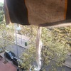 Reparar Toldo