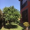 Mantener Jardín