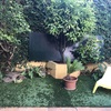 Reforma Vivienda
