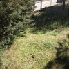 Movimiento de Tierras